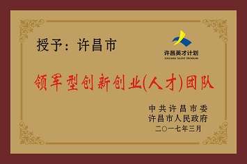 領軍型創新創業（人才）團隊